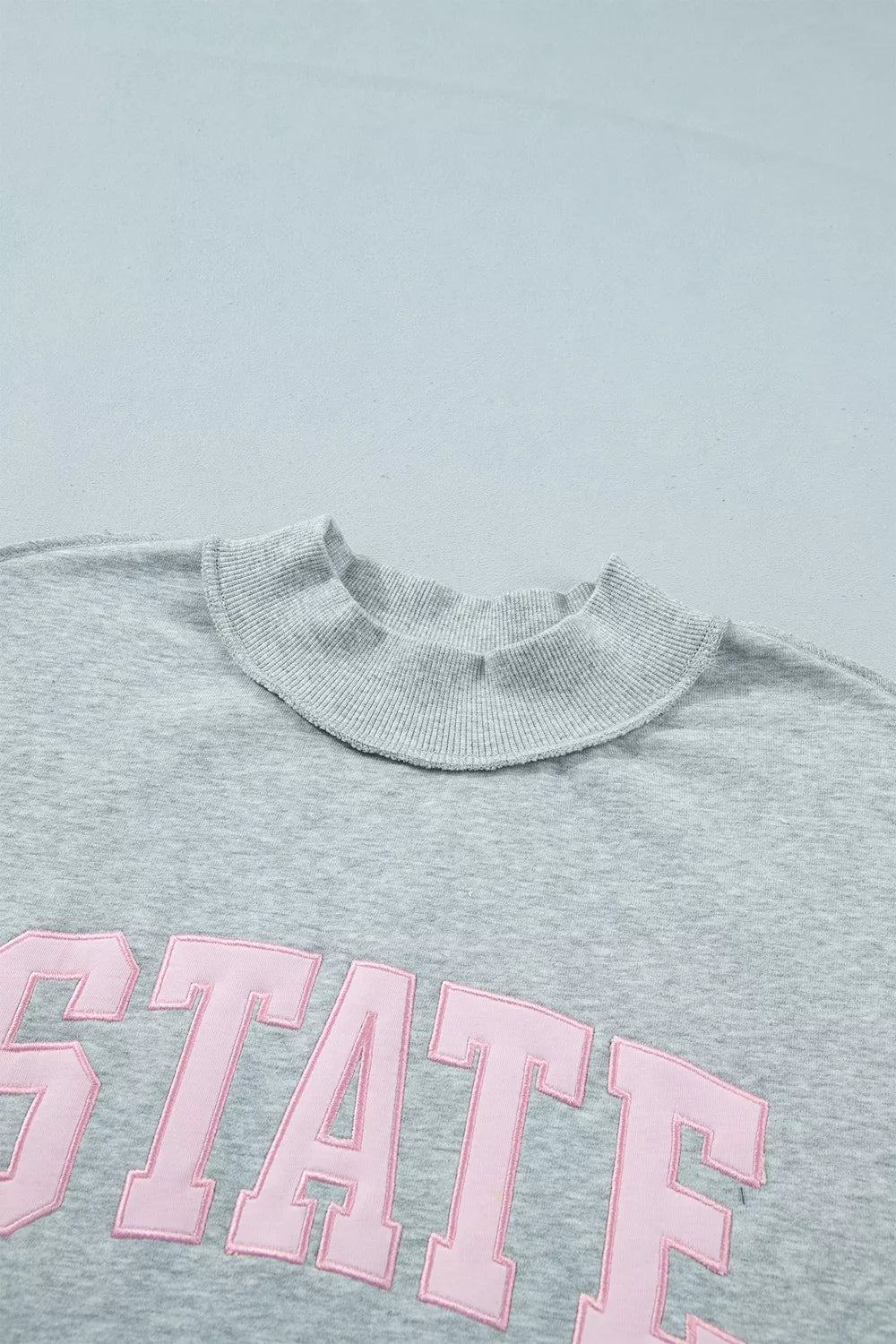 State Spirit Oversized Sweatshirt – Gray in Gray, product image 8
