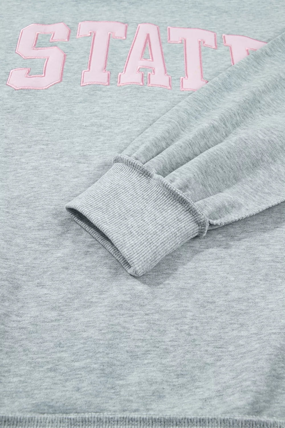 State Spirit Oversized Sweatshirt – Gray in Gray, product image 10