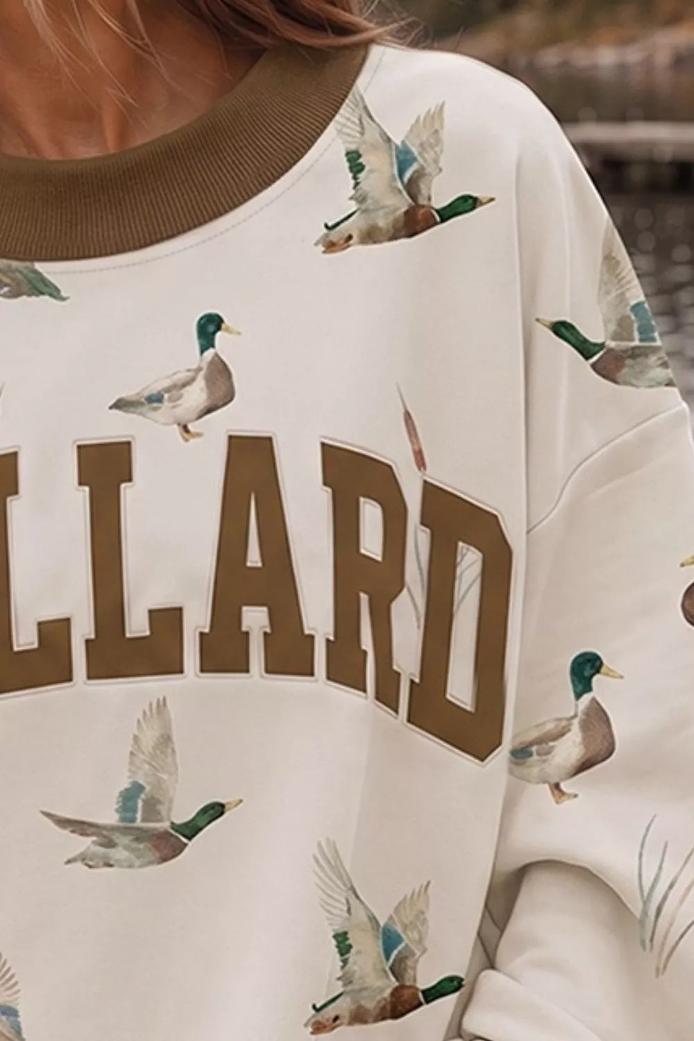 Mallard Country Oversized Sweatshirt in Beige and Gray, product image 2